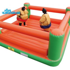 Ring de Boxe Option Sumo