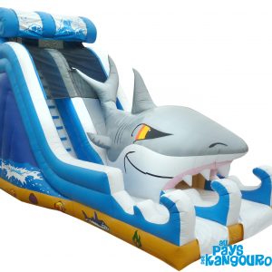 Toboggan Requin